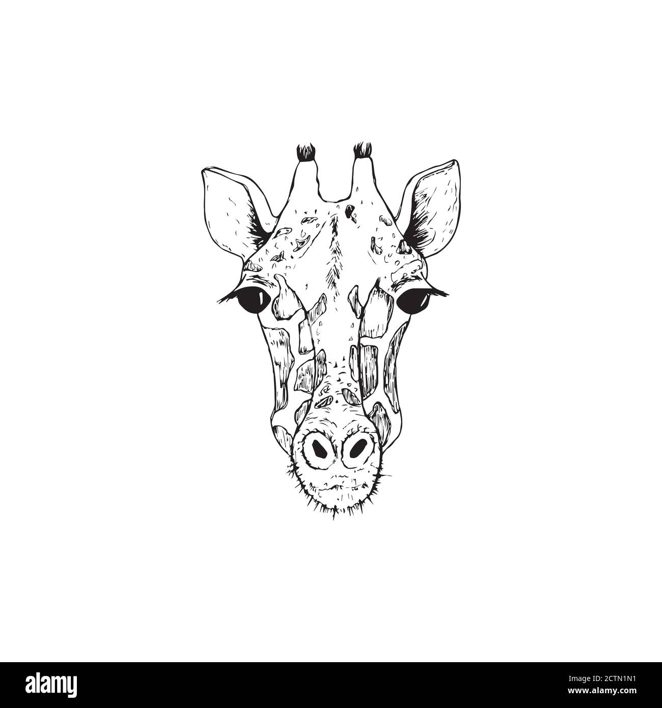 Vector image the giraffe head on the white background, Giraffe Logo, Giraffe Head Tattoo, Vector giraffe head for your design. Stock Vector