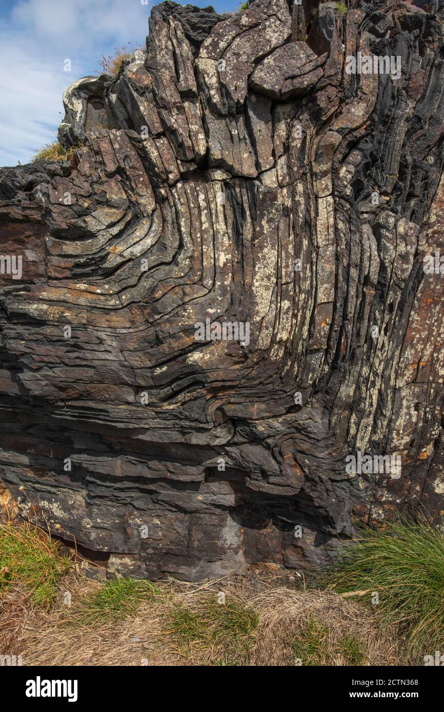 Bent, curved and folded layers of rock, Boscastle, Cornwall, England ...