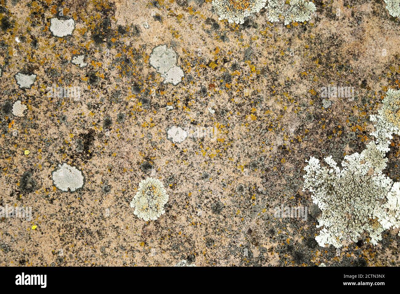 surface of old slate stone for background, texture Stock Photo