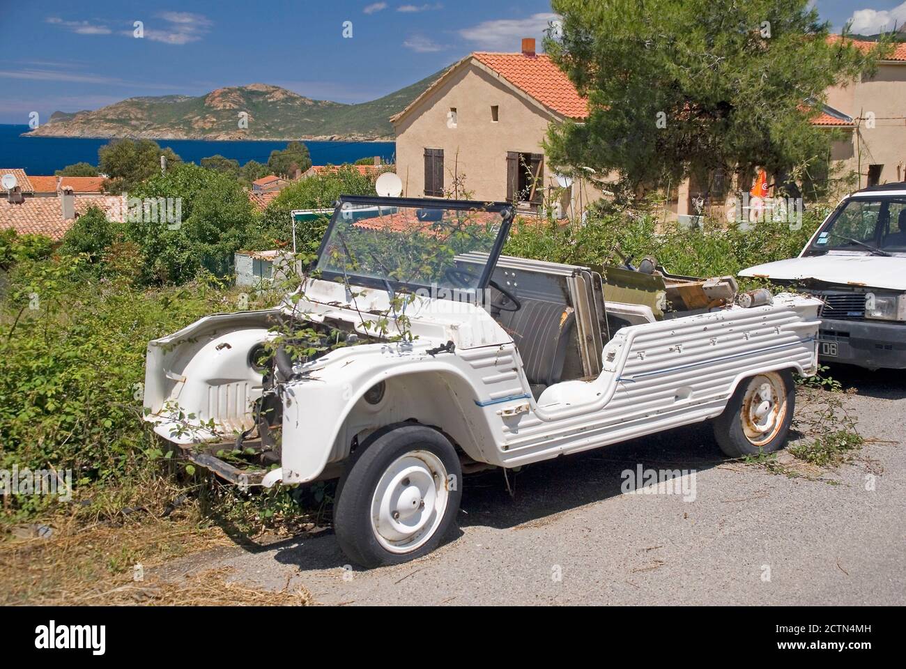 An abandoned car being overgrown with weeds Stock Photo - Alamy