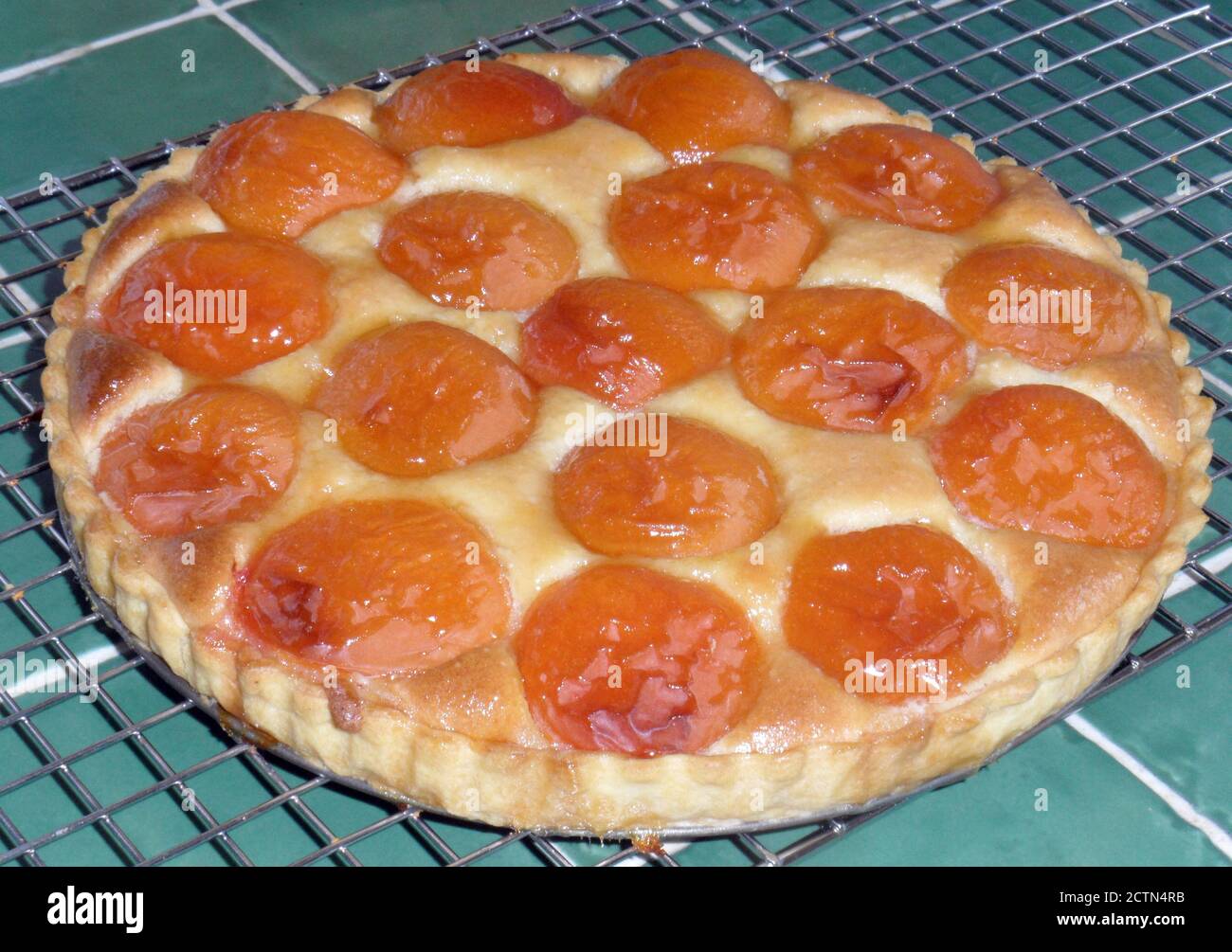 Apricot flan Stock Photo