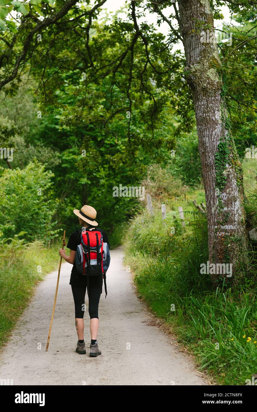 Back view tourist backpack hi-res stock photography and images - Alamy