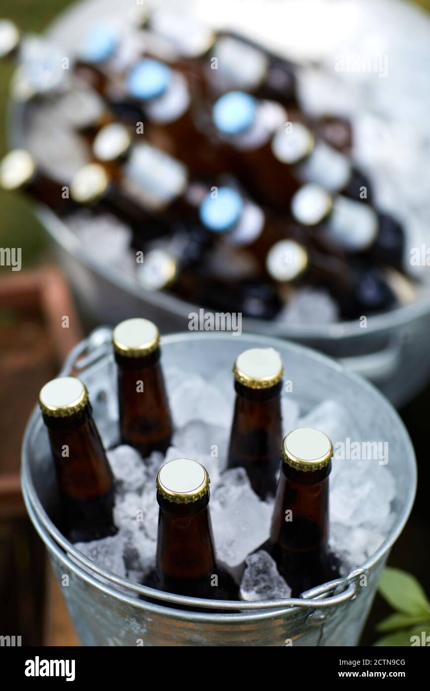 many beer bottles in the ice bucket Stock Photo Alamy