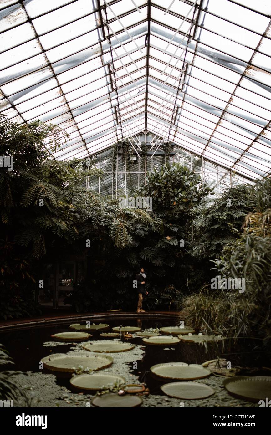 Remote view of anonymous tourist standing near pond with plants in glass hothouse on cloudy day in Scottish Highlands Stock Photo
