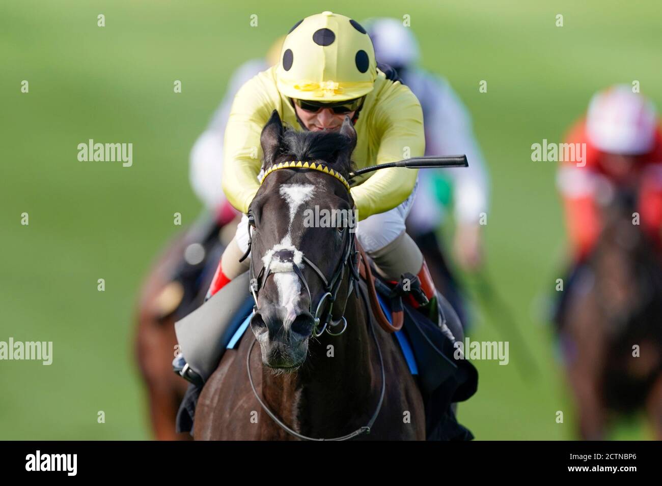 Andrea Atzeni riding Royal Champion win The Rossdales EBF Stallions Maiden Stakes during day one of The Cambridgeshire Meeting at Newmarket Racecourse. Stock Photo