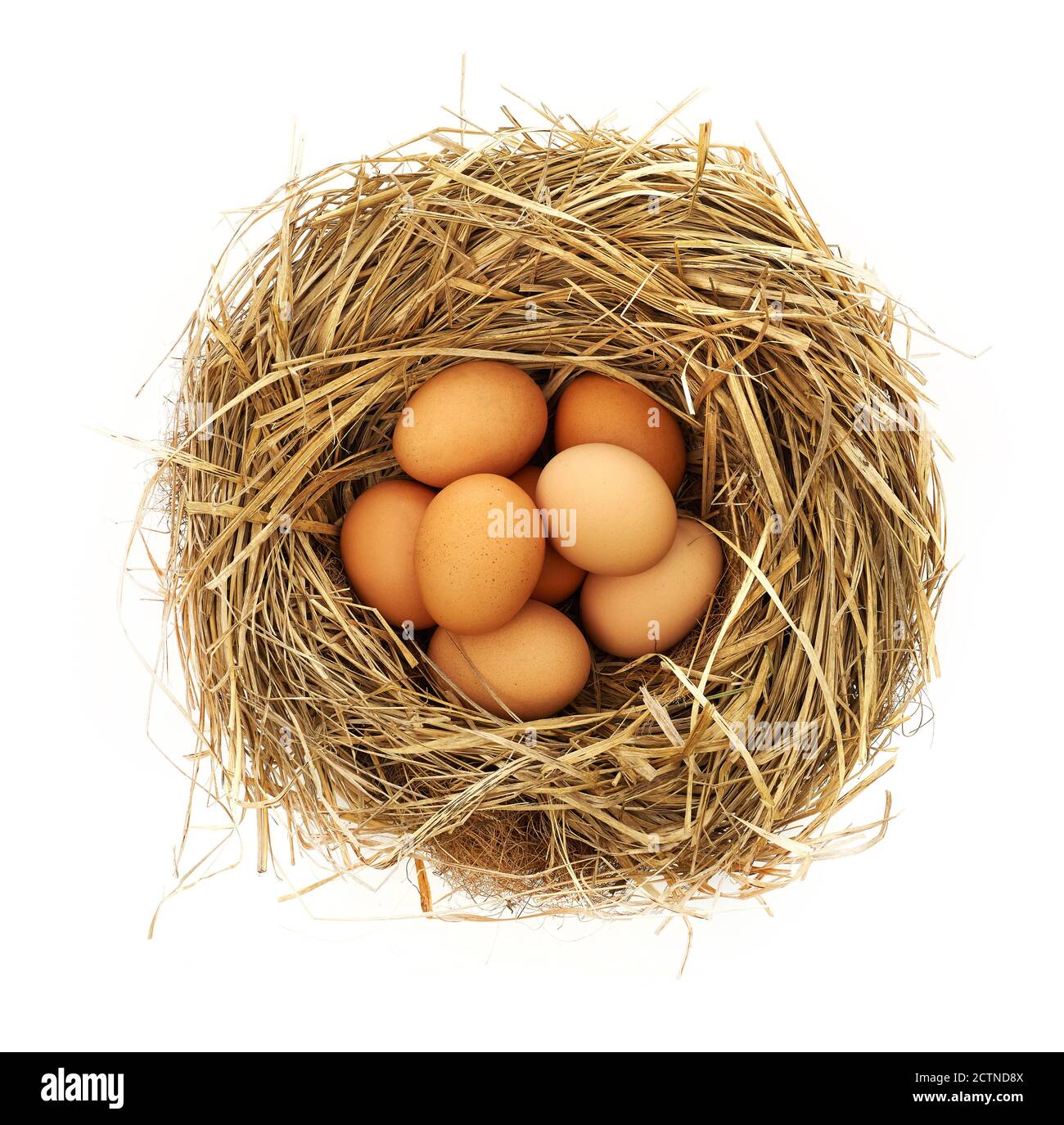 Eggs in nest isolated on white Stock Photo - Alamy