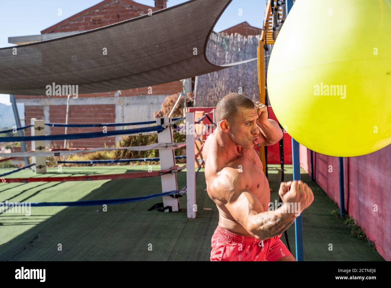 Strong sportsman with muscular body punching boxing bag while training on terrace of sports center in summer Stock Photo