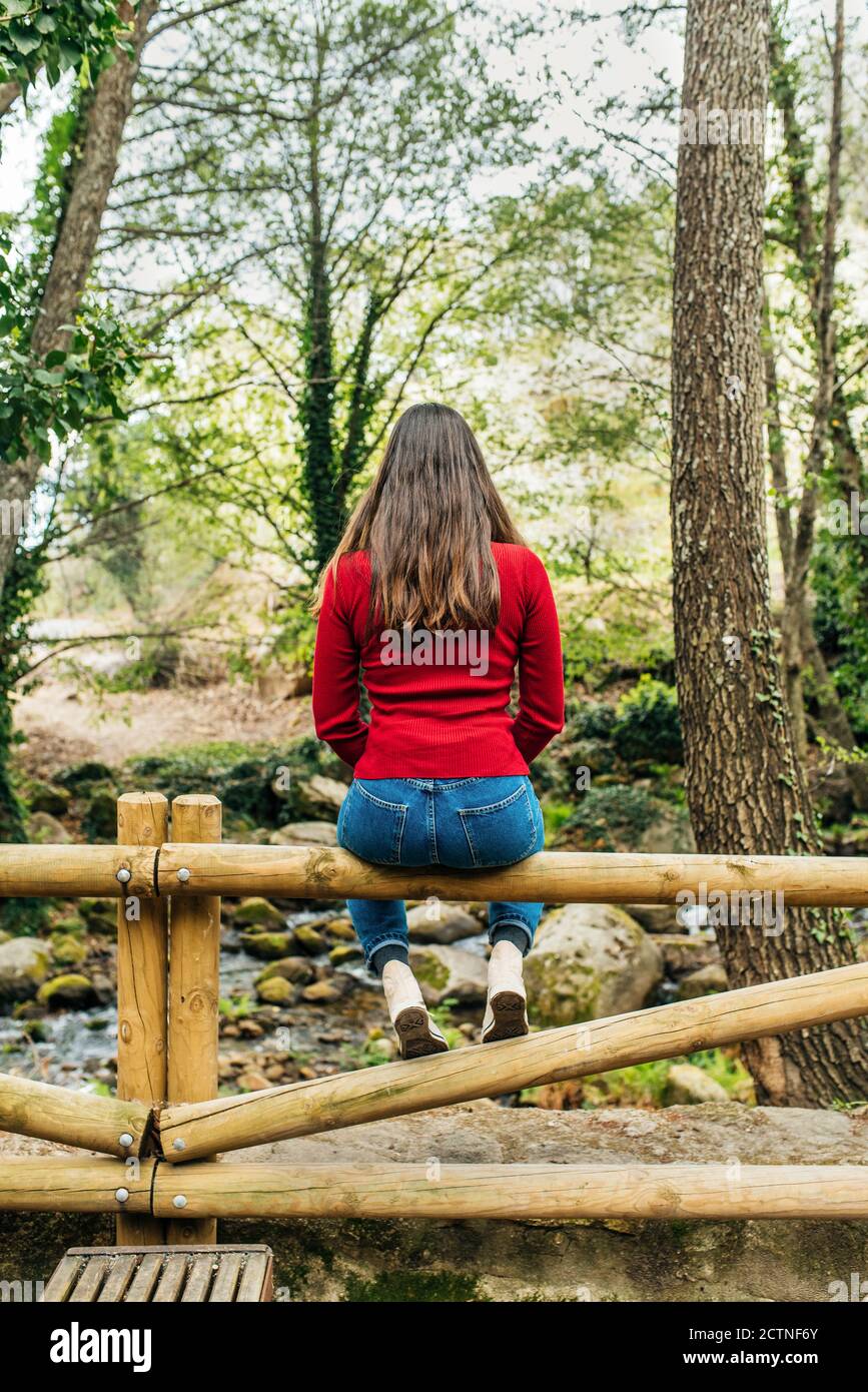 Back view of anonymous female tourist sitting on old bench in woods and admiring magnificent nature in Valle del Jerte Stock Photo