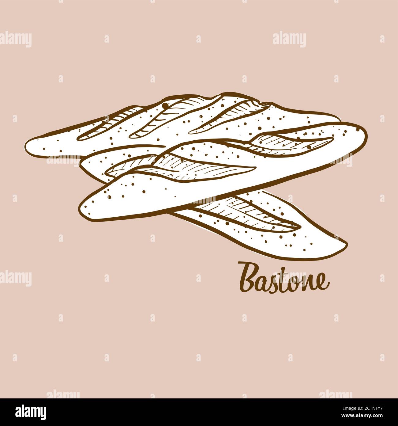 Handdrawn Bastone bread illustration. Yeast bread, usually known in