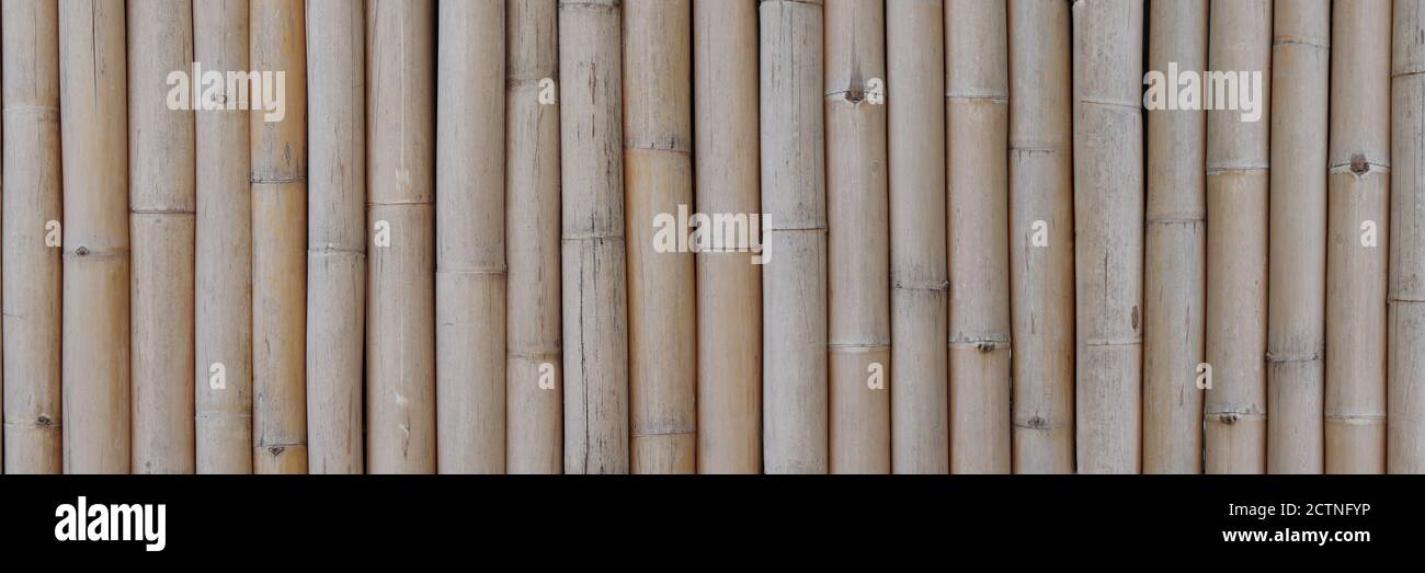 Dry brown bamboo banner pattern background. Dry bamboo background. Stock Photo