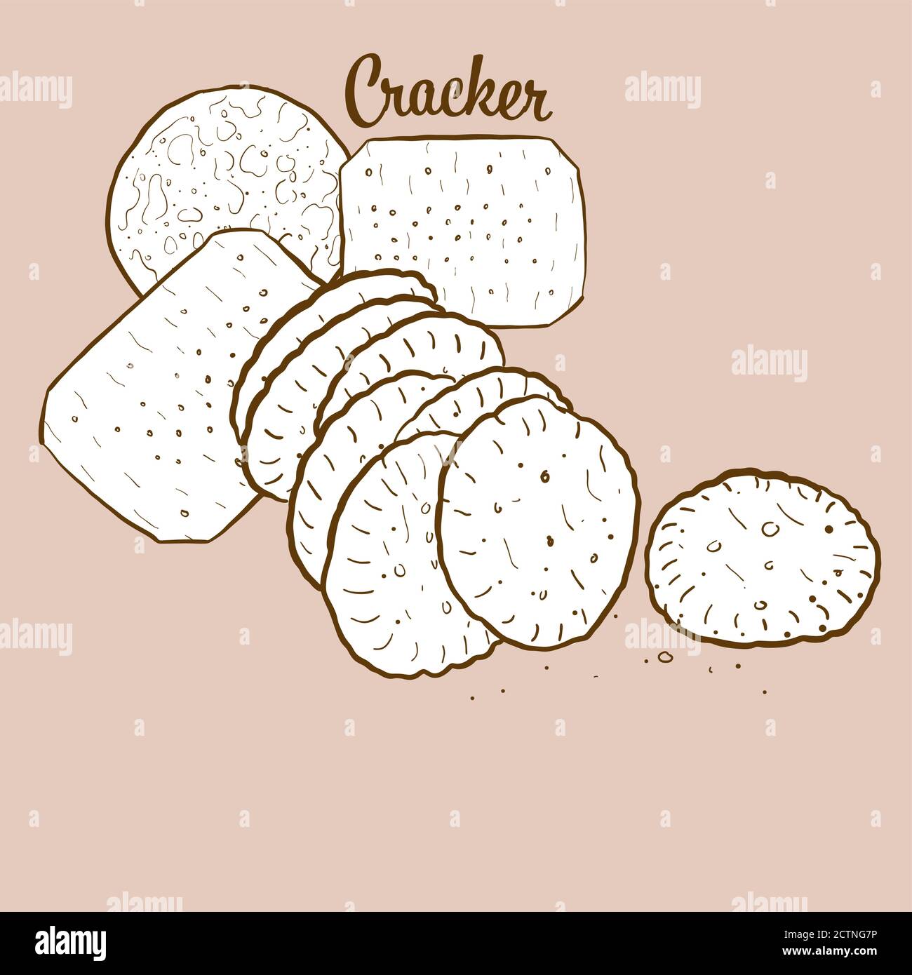 Hand-drawn Cracker bread illustration. Crispy bread, usually known in International. Vector drawing series. Stock Vector