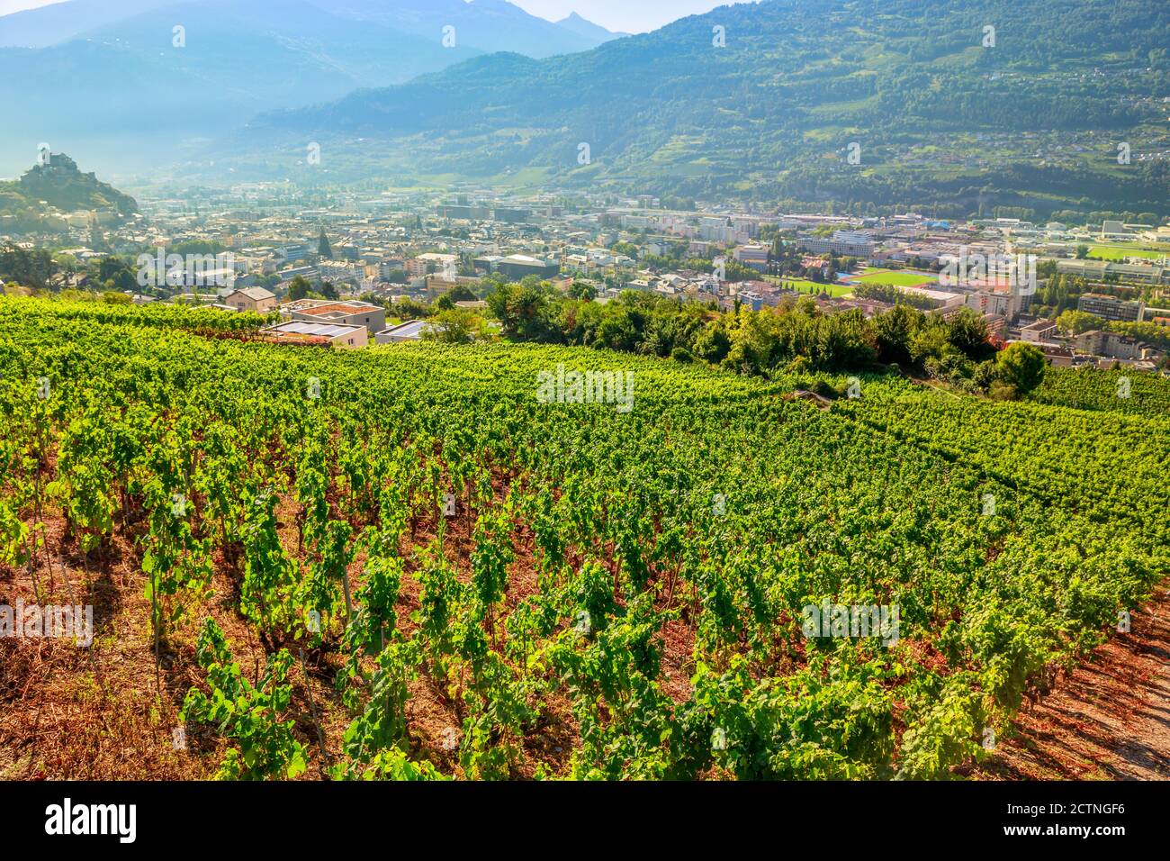 Terraced hills and vineyards aroud Tourbillon Castle in Sion, capital of canton of Valais. Sion is located in one of most important wine regions in Stock Photo