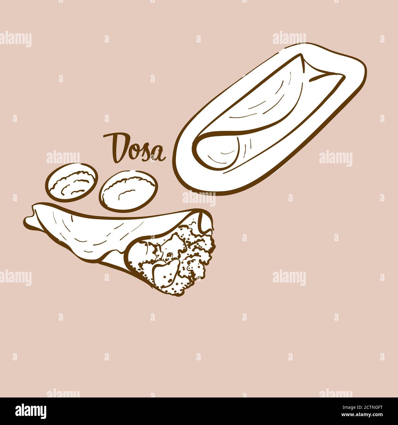 Handdrawn Dosa bread illustration. Pancake, usually known in India