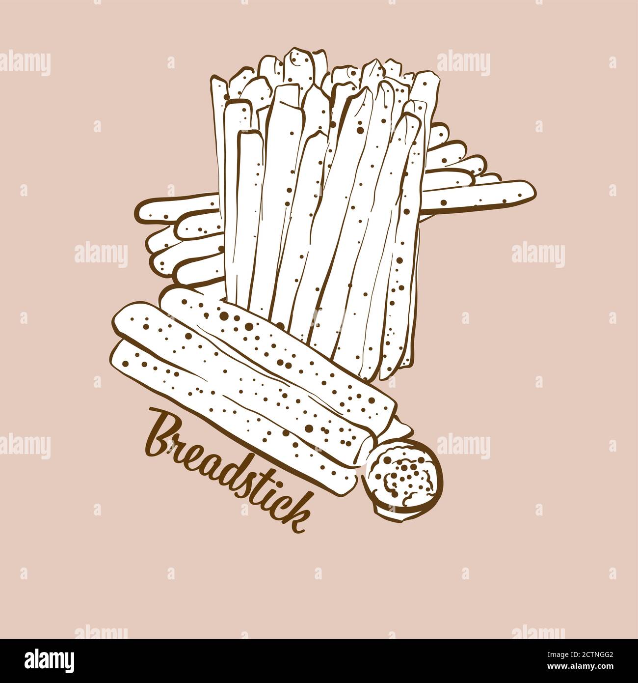 Hand-drawn Breadstick bread illustration. Dry bread, usually known in Italy. Vector drawing series. Stock Vector