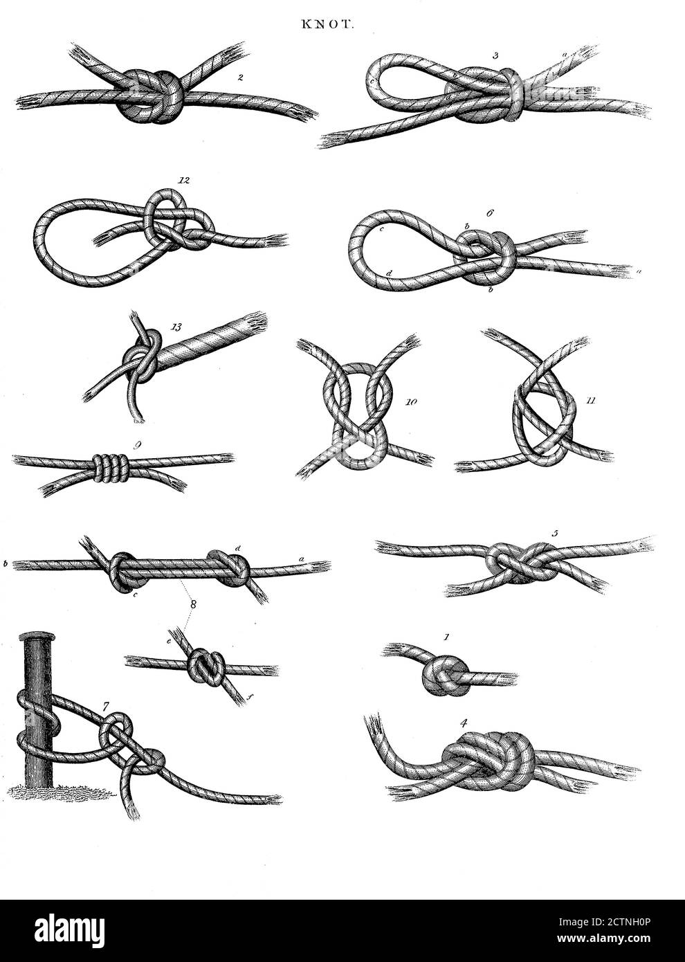Illustration of sheet bend knot hi-res stock photography and