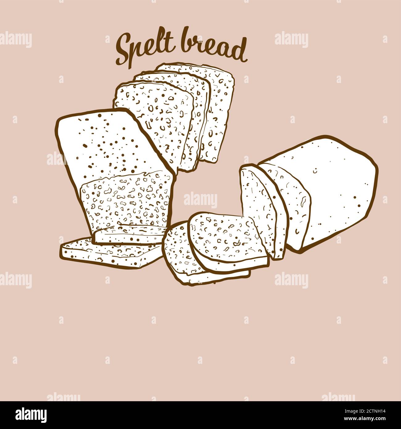 Hand-drawn Spelt bread bread illustration. Yeast bread, usually known in Europe. Vector drawing series. Stock Vector