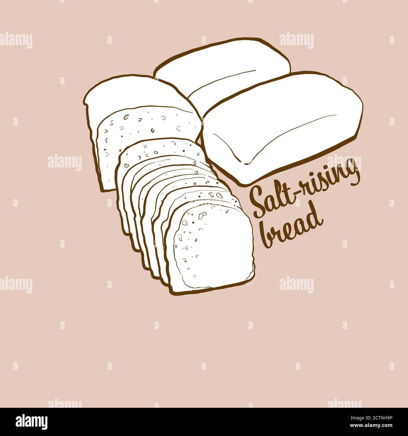 Hand-drawn Salt-rising bread bread illustration. Leavened, usually known in United States. Vector drawing series. Stock Vector