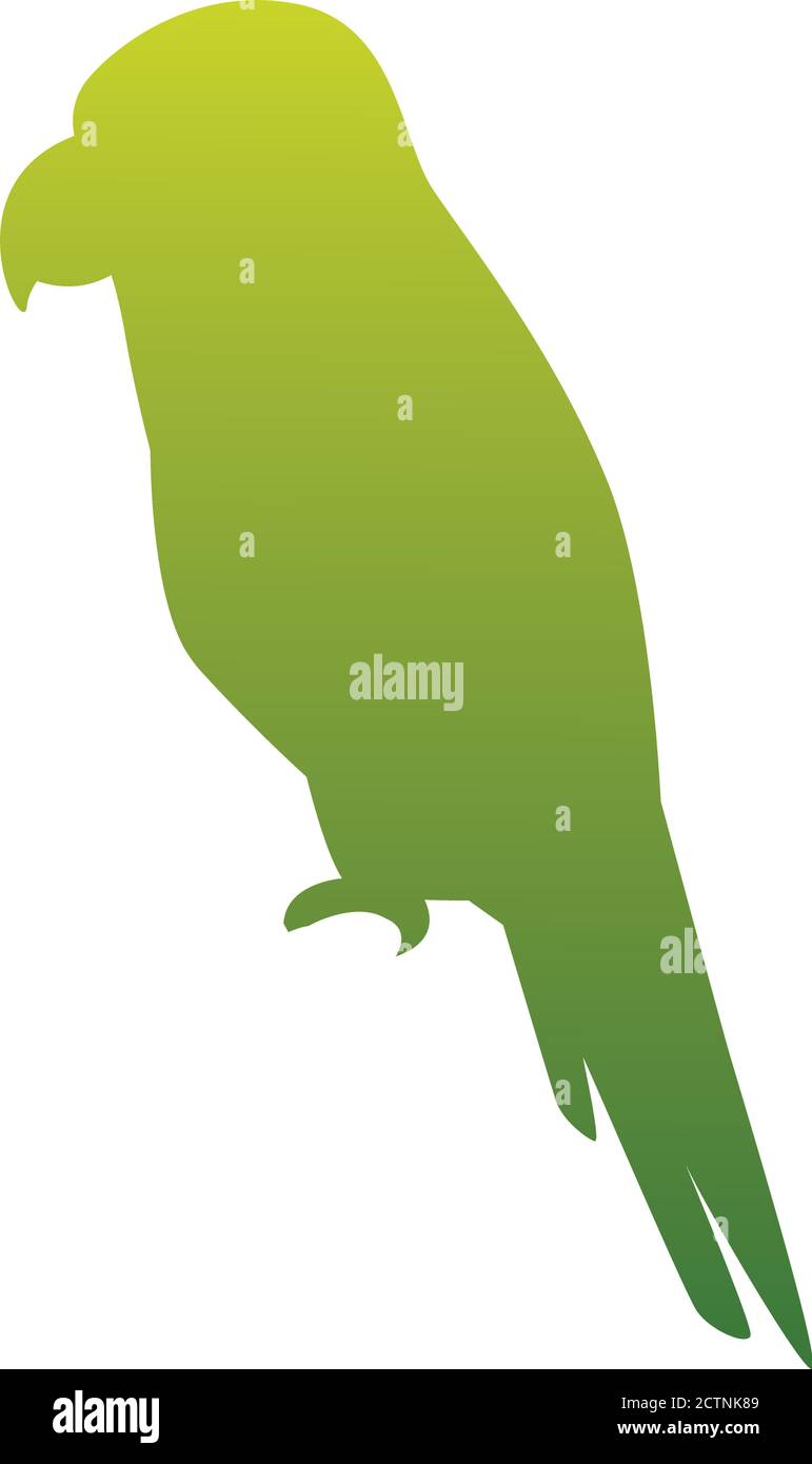 wild tropical parrot bird nature green silhouette vector illustration