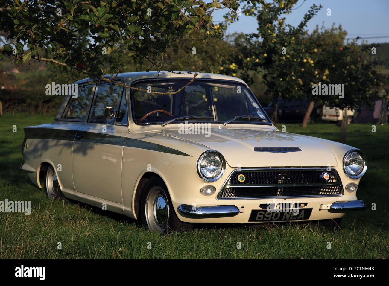 Lotus cortina hi-res stock photography and images - Alamy