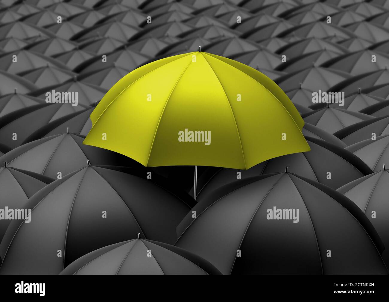 A yellow umbrella above black umbrellas Stock Photo Alamy