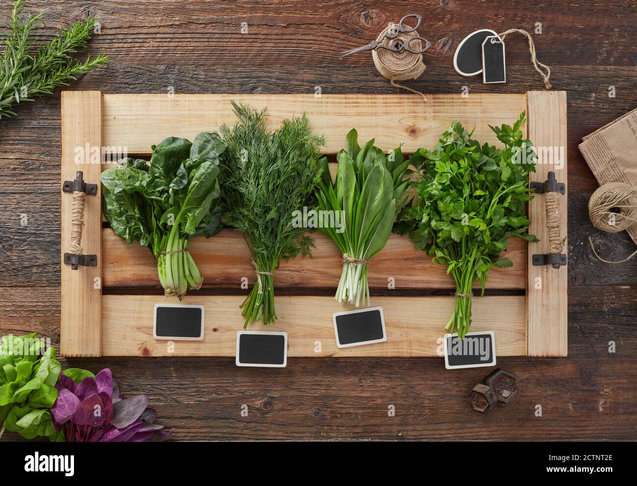 Herb leafs on wood table Stock Photo