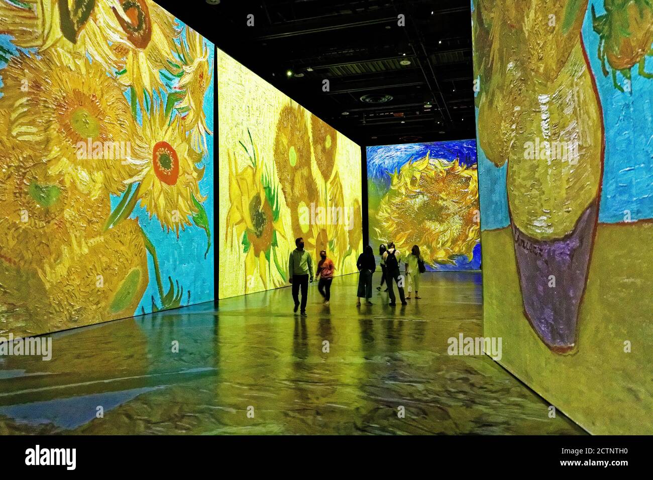 People at the Imagine Van Gogh immersive exhibition in Quebec City, Canada Stock Photo