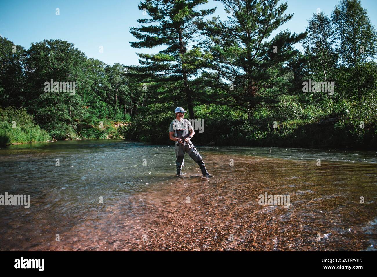 National fish day hi-res stock photography and images - Alamy