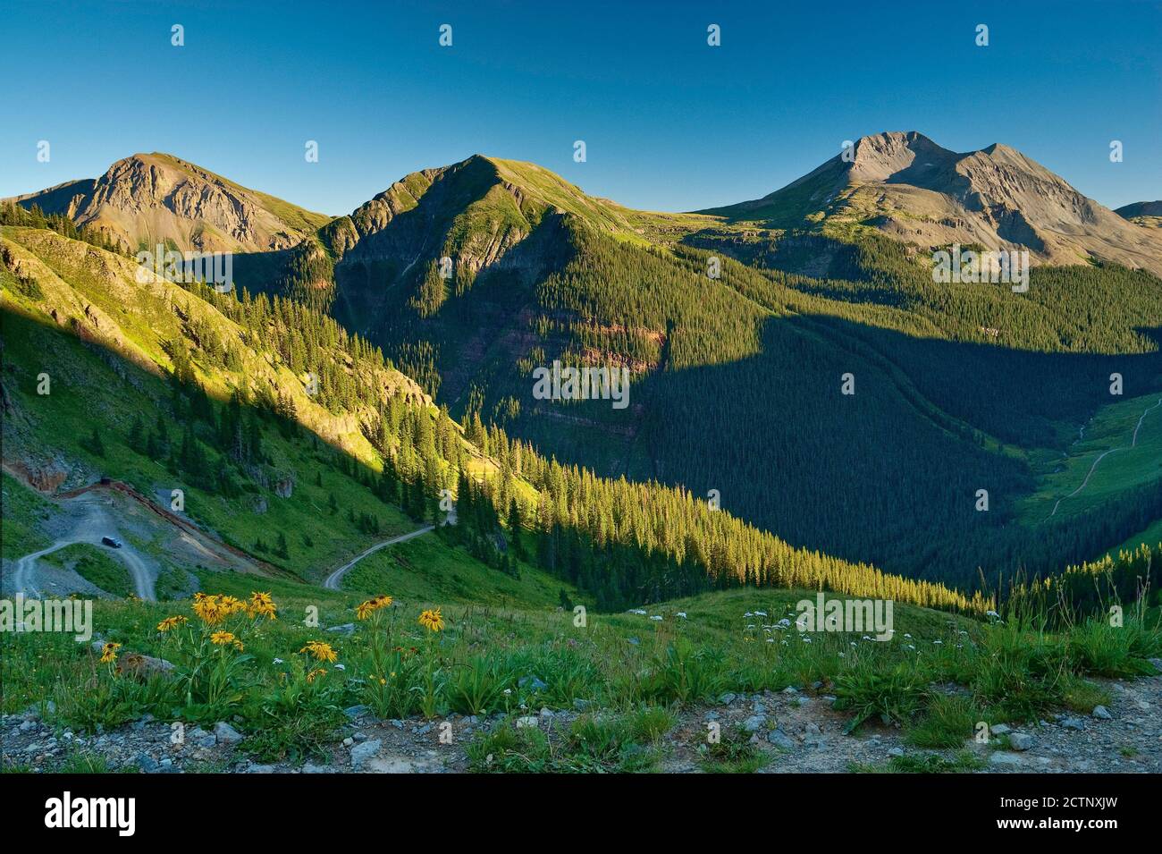 San juan mountains wildflowers hi-res stock photography and images - Alamy