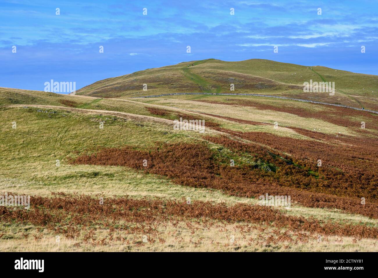 Sale Fell, Lake District, Cumbria, England Stock Photo Alamy