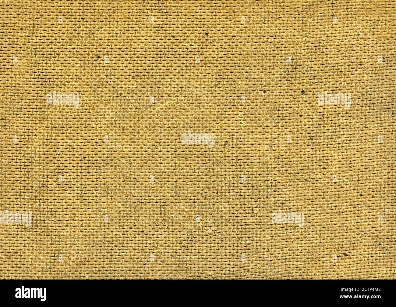 Brown pressed cardboard blank texture background. Closeup Stock Photo