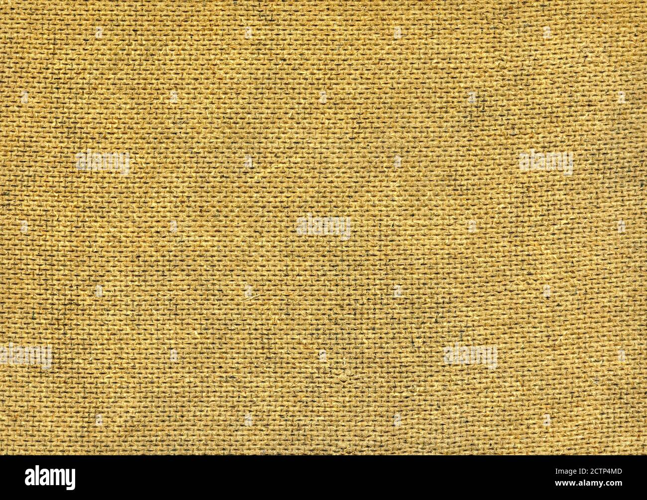 Brown pressed cardboard blank texture background. Closeup Stock Photo