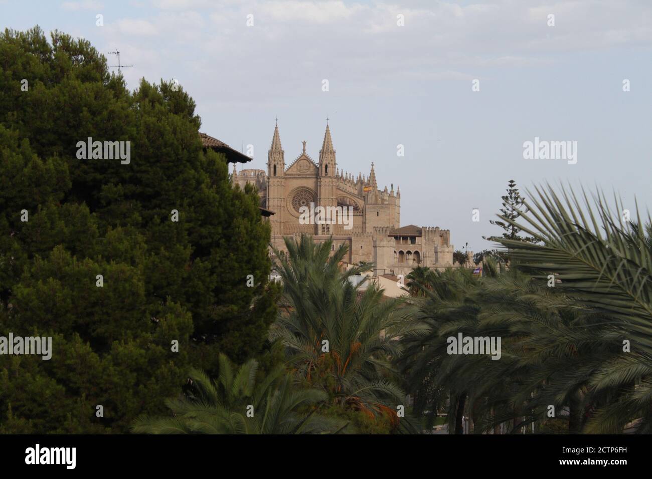 Image of the Gothic cathedral of Palma de Mallorca, in the Balearic Islands in the summer of 2020 (Spain). / ANA BORNAY Stock Photo