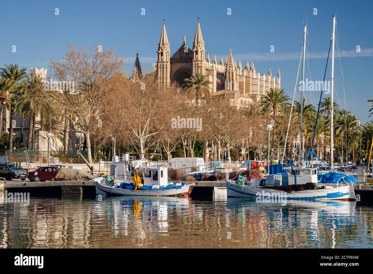 Catedral de Palma desde Moll de la Riba, Palma, mallorca, islas baleares, españa, europa Stock Photo