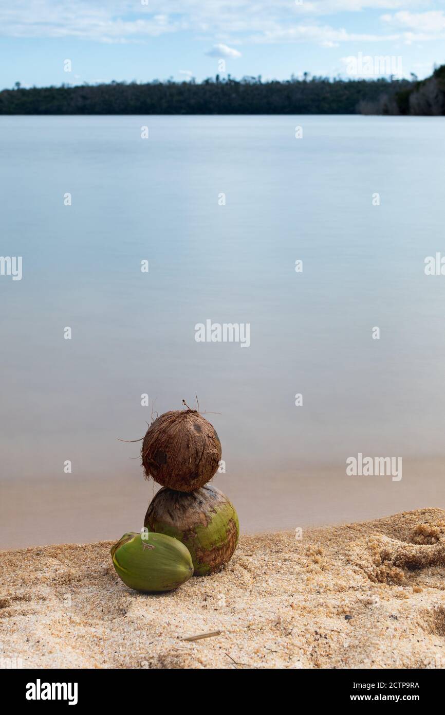 Coconuts are stacked by a smoothie lake Stock Photo Alamy