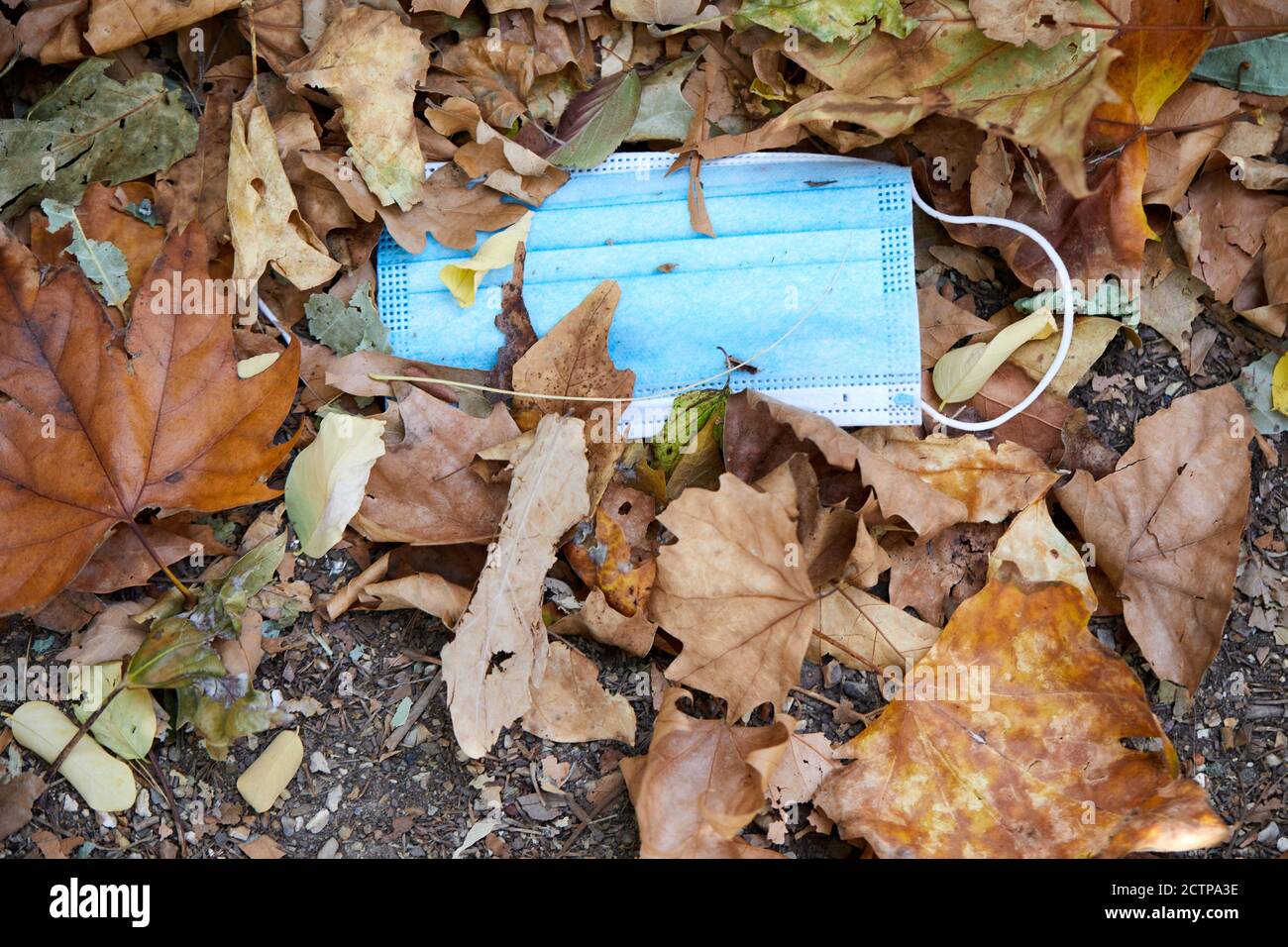 London, UK. - 18 Sept 2020: Disposable face masks, discarded in the street, make an addition to the sweepings of this year's autumn leaf fall as a result of the coronavirus pandemic. Stock Photo