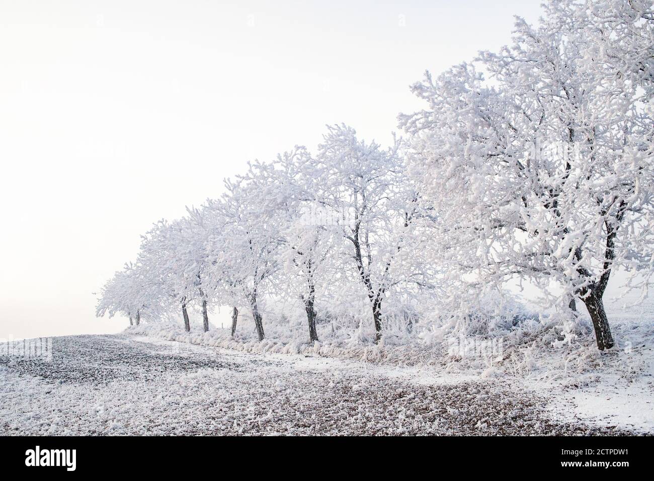 beautiful frozen winter landscape with frosty trees Stock Photo - Alamy