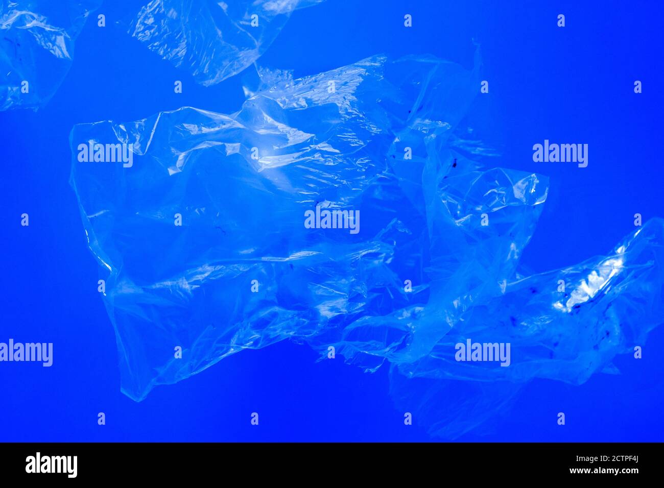 Transparent plastic bags floating underwater in blue ocean sea water, pollution by non-biodegradable plastic waste, hazard for marine wildlife Stock Photo