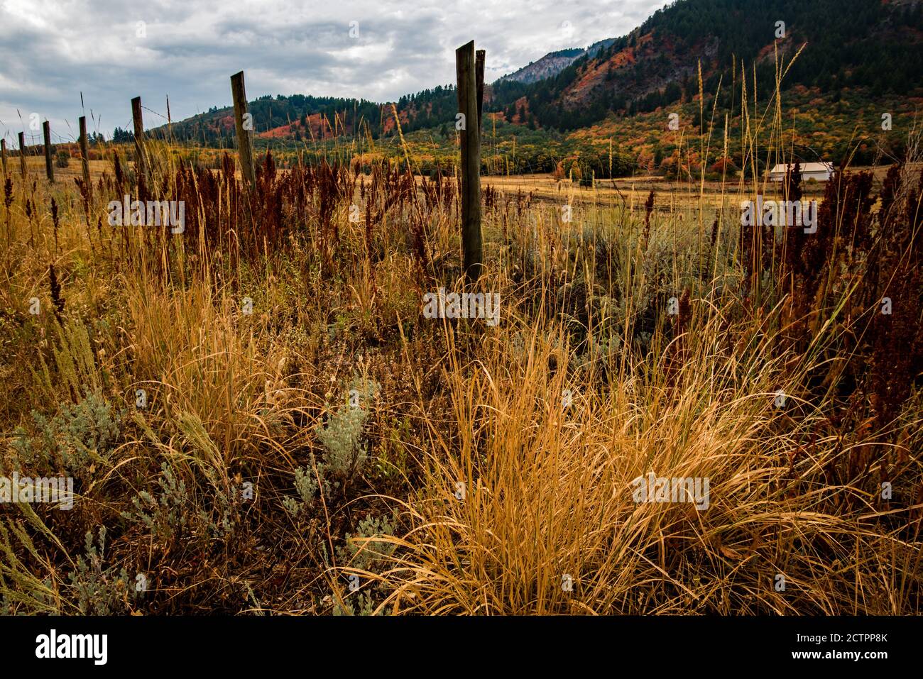 Sardine canyon hires stock photography and images Alamy
