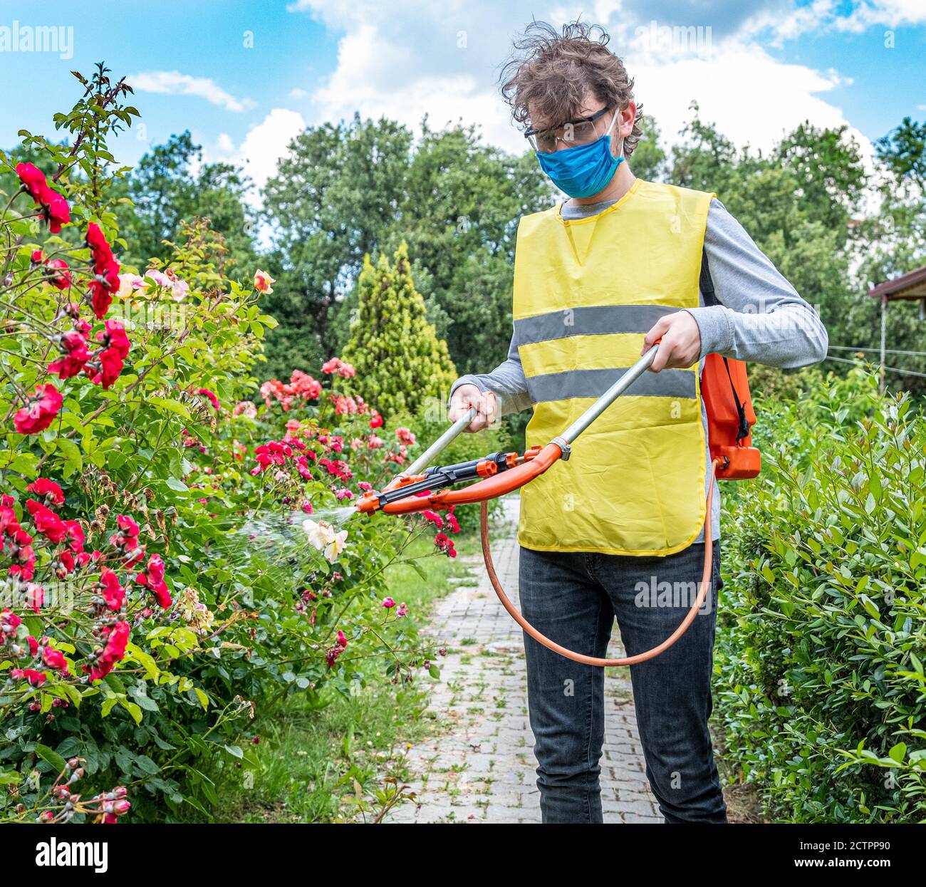 Protecting flower plants from fungal disease, gardening concept Stock