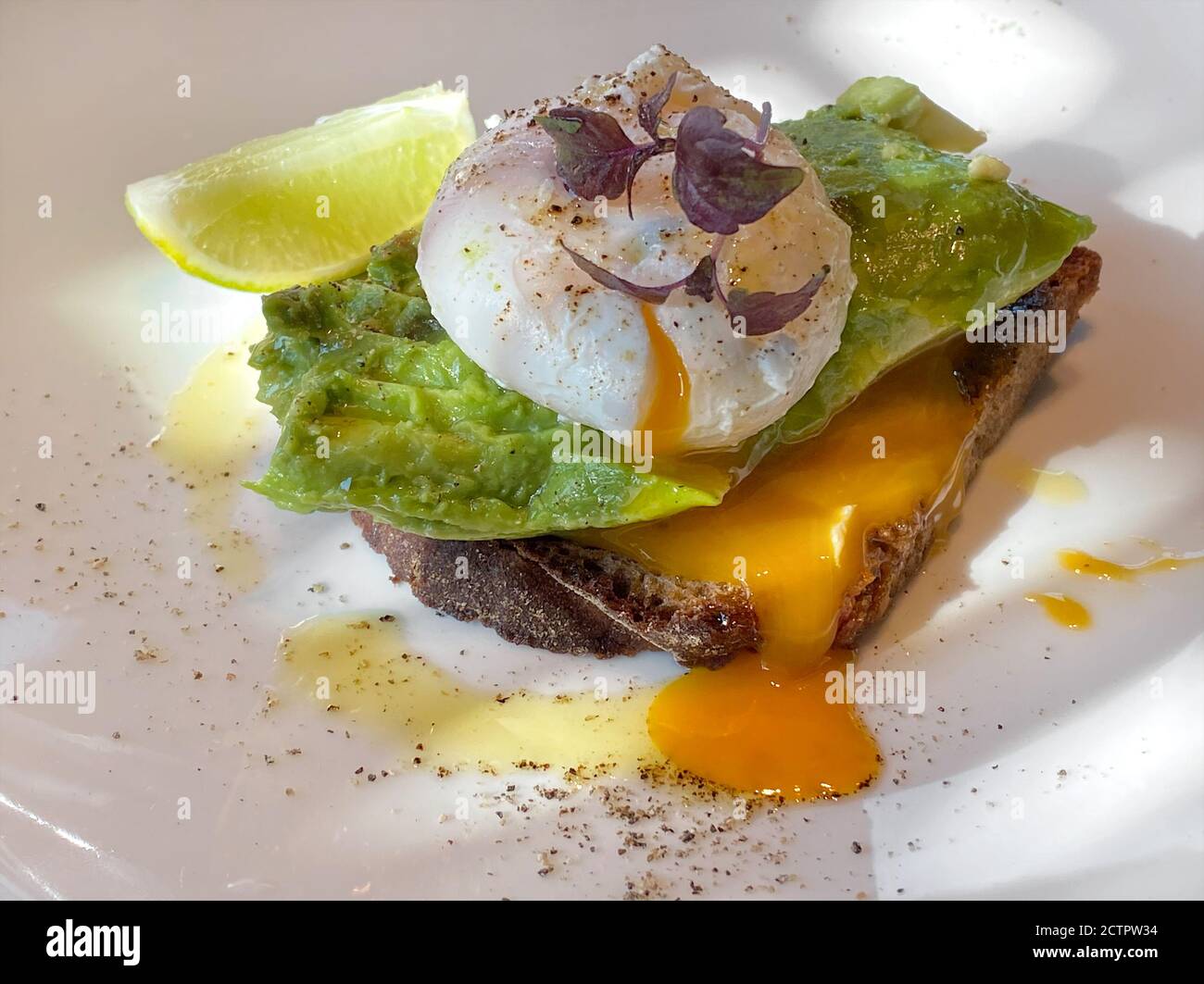 Egg benedict with avocado and bread toast. Breackfast snack Stock Photo