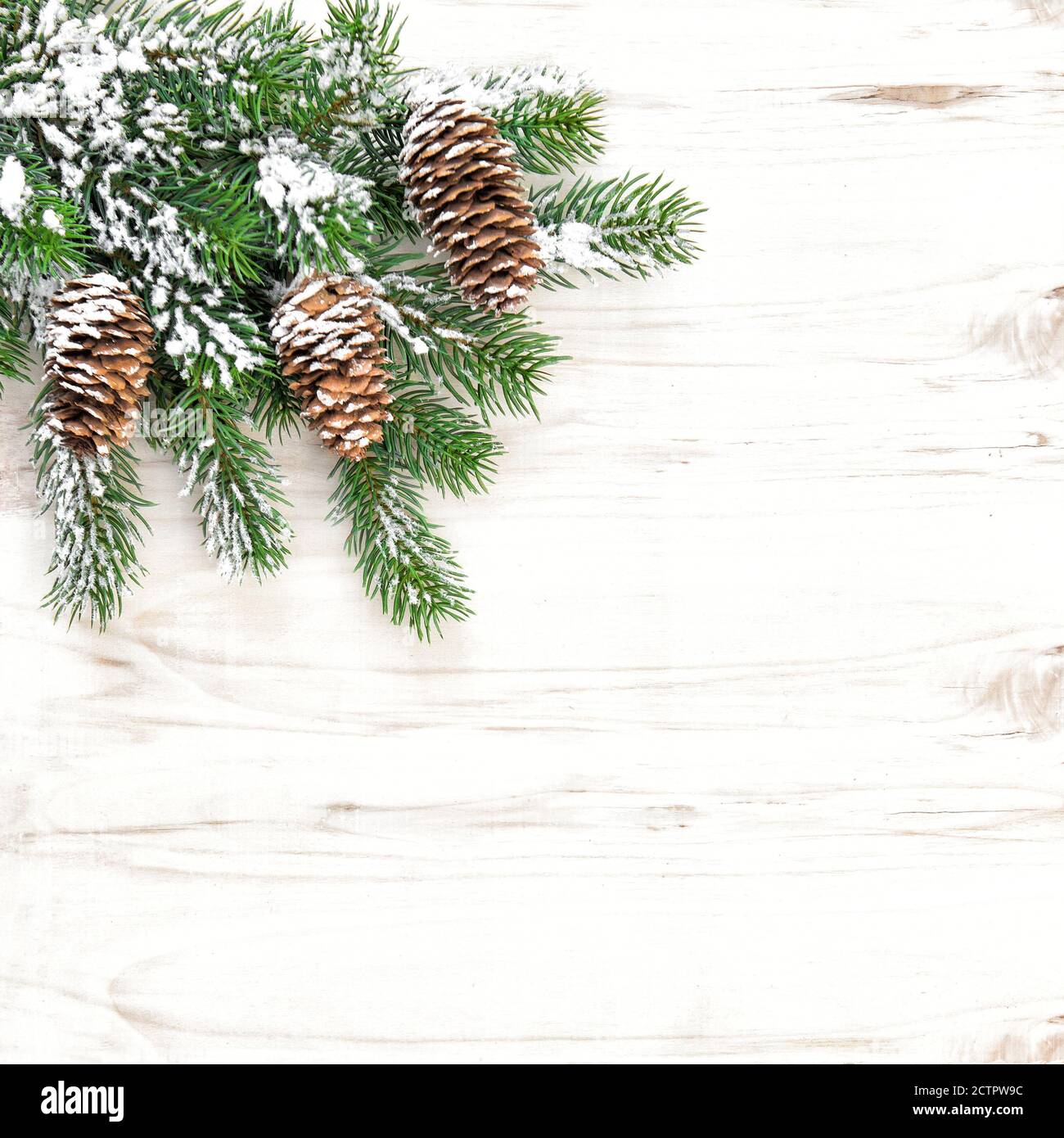 Christmas background. Pine tree branches with snow decoration Stock Photo