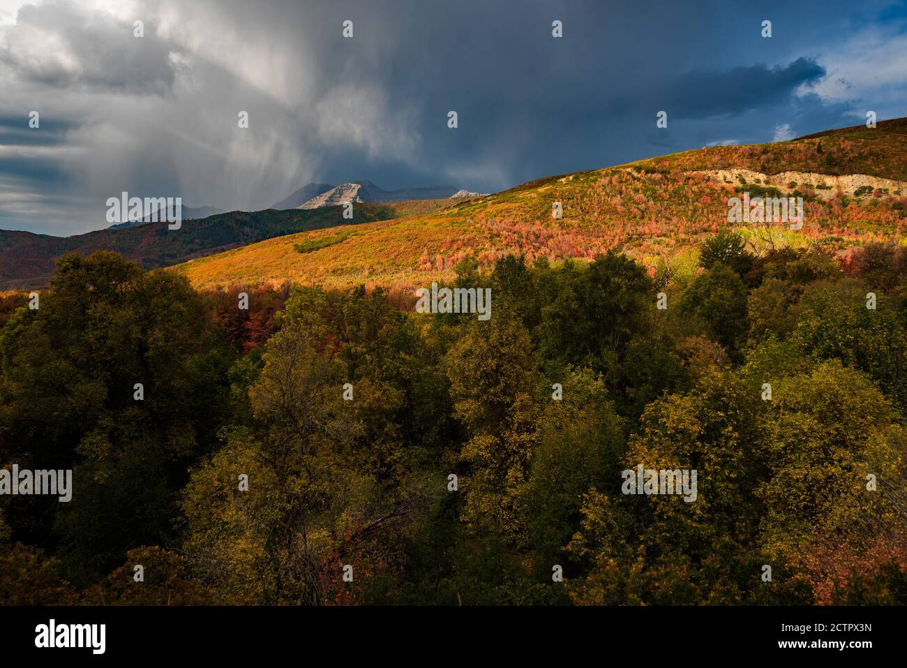 Thunderstorm in the mountains.  Quick and sometimes violent thunderstorms can develop over the high mountains of Utah, USA in the Fall. Stock Photo