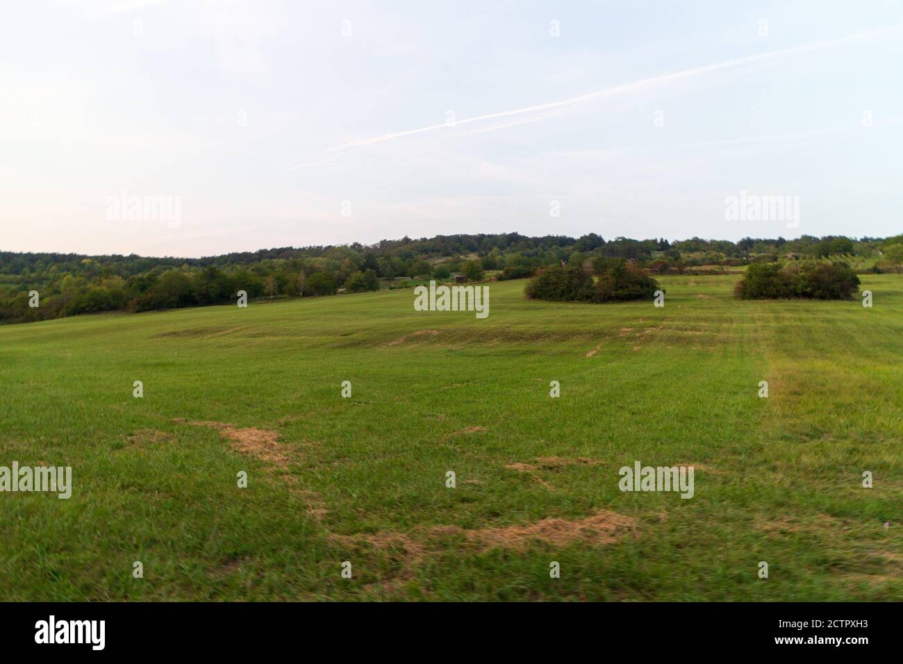 Meadow trees green cloud hi-res stock photography and images - Alamy