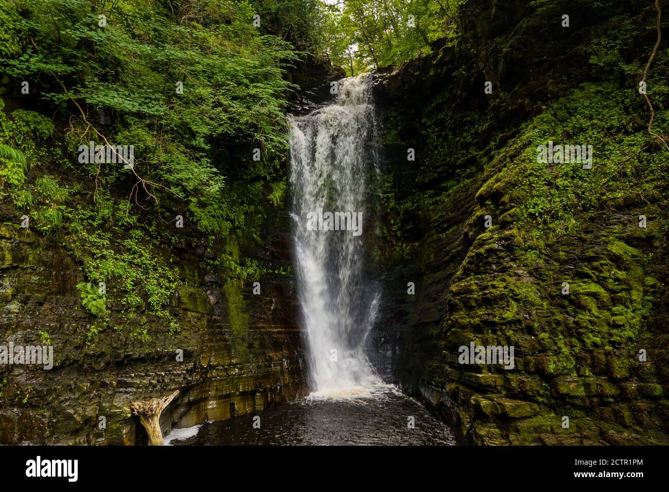 Tall waterfall in a narrow canyon surrounded by green foliage (Sgwd Einion Gam, Waterfall Country, Wales) Stock Photo