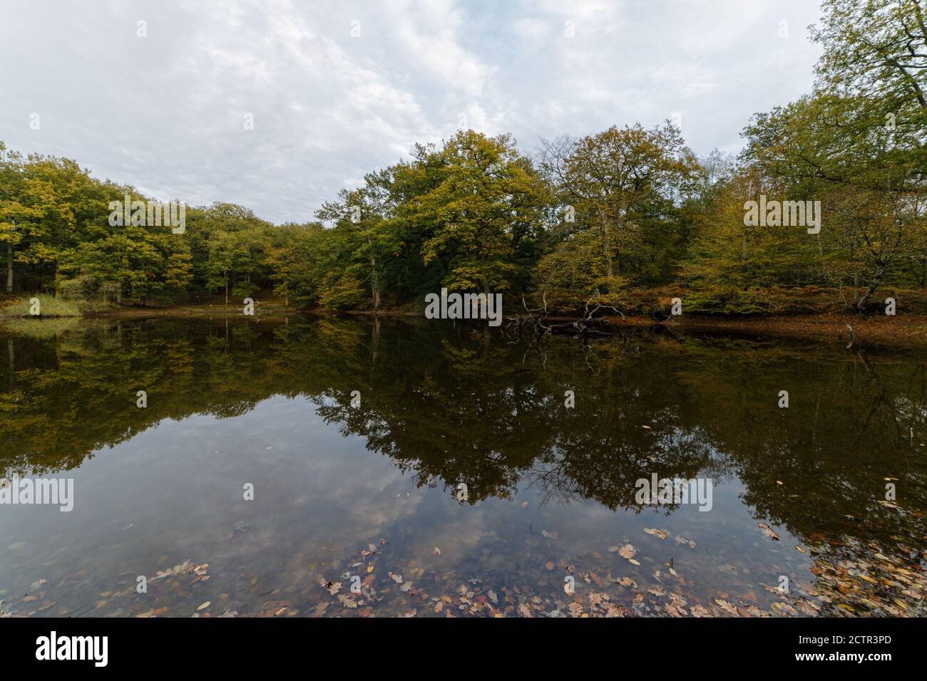 Lake landscape with trees reflected in the water in Autumn Stock Photo ...