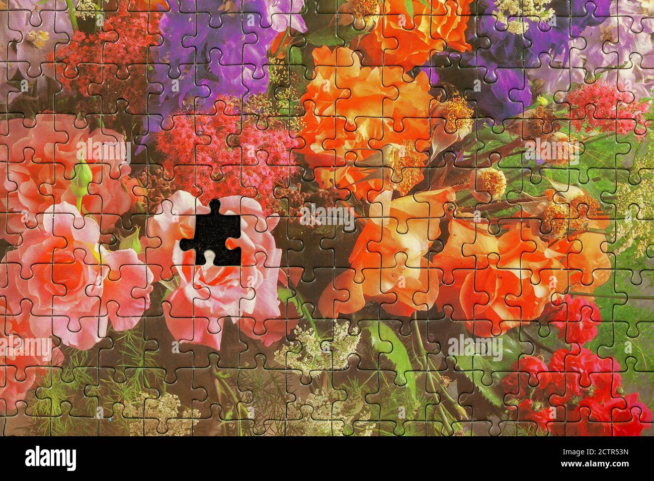 Puzzle missing a piece Stock Photo