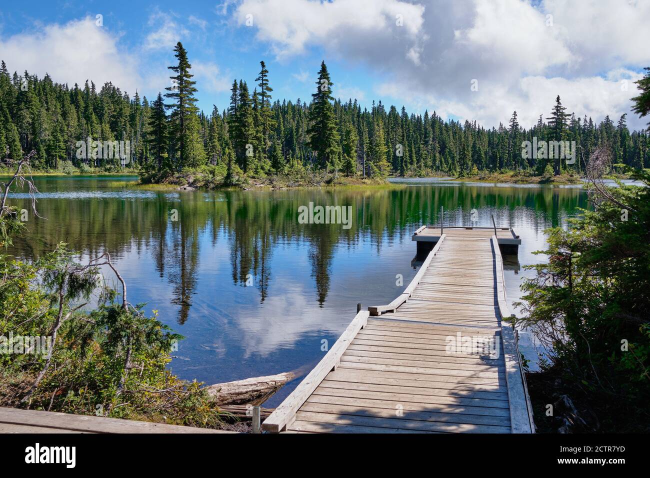 One of lakes in Paradise Meadows of Strathcona Provincial Park is Battleship Lake.  A small jetty invites visitors to the water's edge Stock Photo