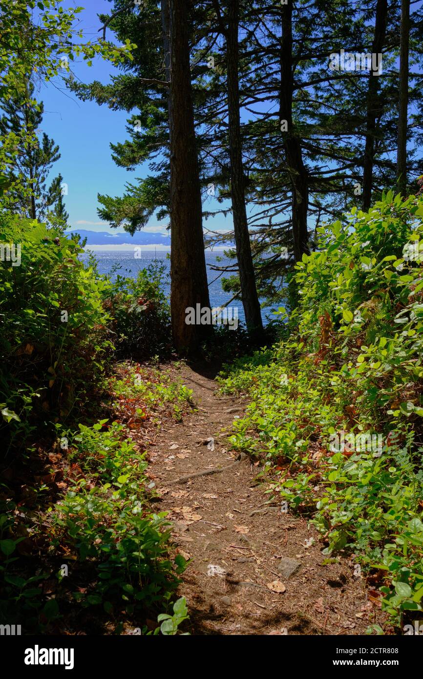Forested trail around Iron Mine Bay in East Sooke Regional Park leads to views across Strait of Juan de Fuca to Washington State's Olympic Mountains Stock Photo