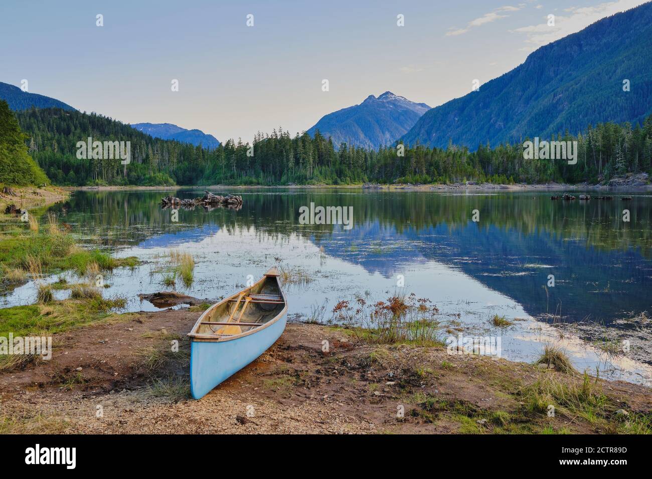 Faded pale blue canoe with oars ready, waits on shore beside Buttle Lake. Stock Photo