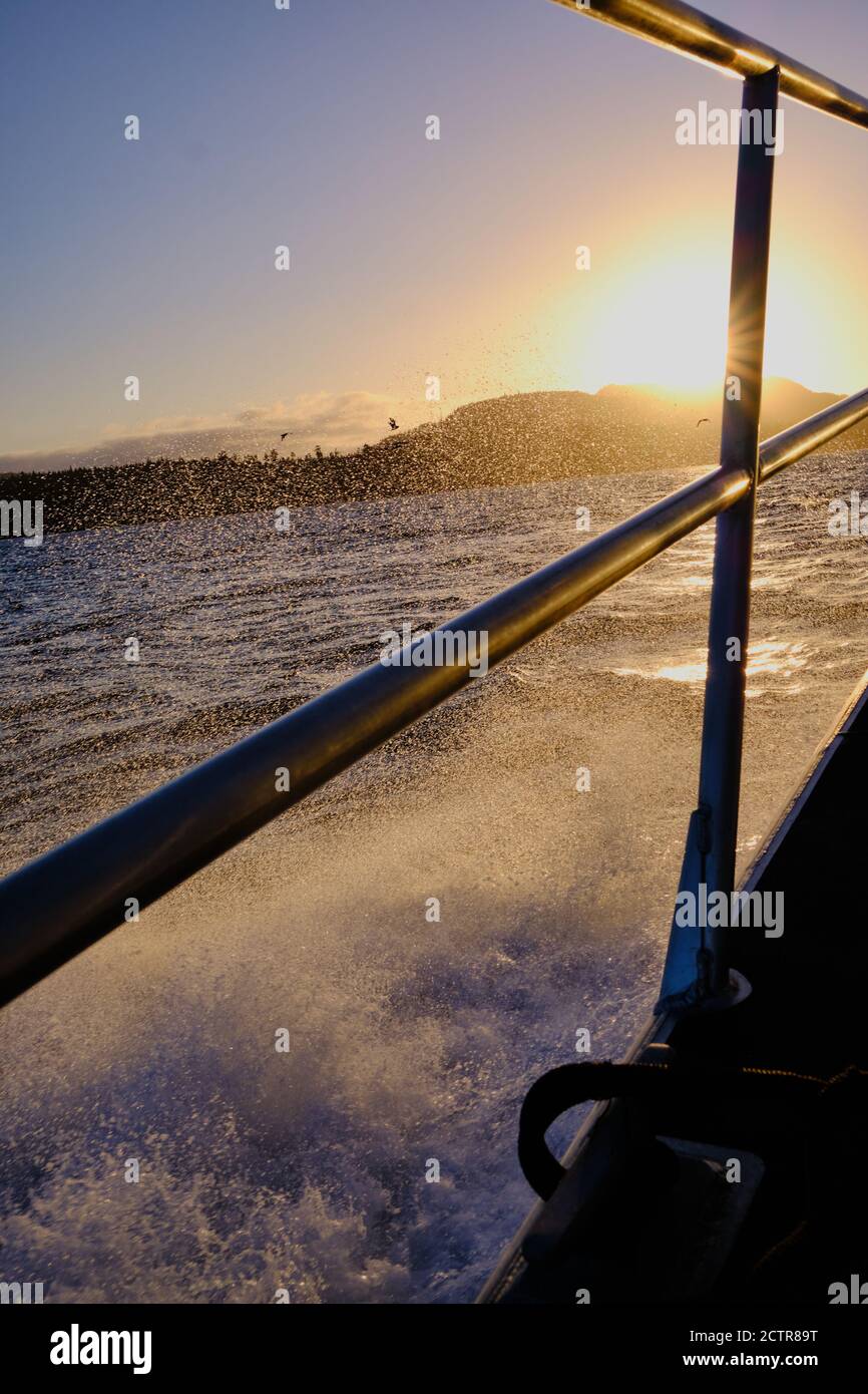 Heading east into rising sun, small boat sends spray into air while silhouetted seabirds fly over waves... all frozen in time with fast shutter speed Stock Photo